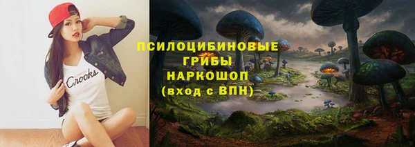 шишки Белоозёрский