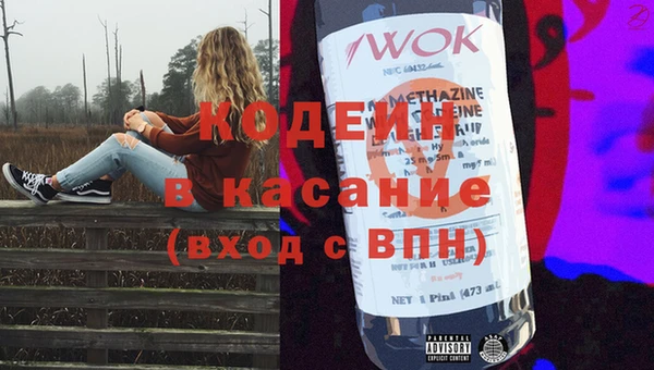 шишки Белоозёрский