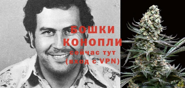 шишки Белоозёрский