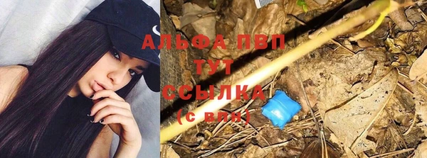 шишки Белоозёрский
