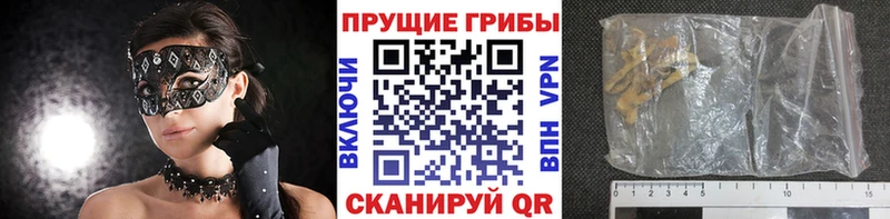 продажа наркотиков  Нижний Ломов  Галлюциногенные грибы MAGIC MUSHROOMS 